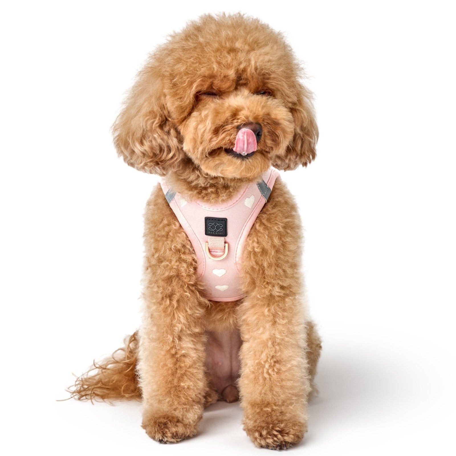 Sweetheart Dog Harness
