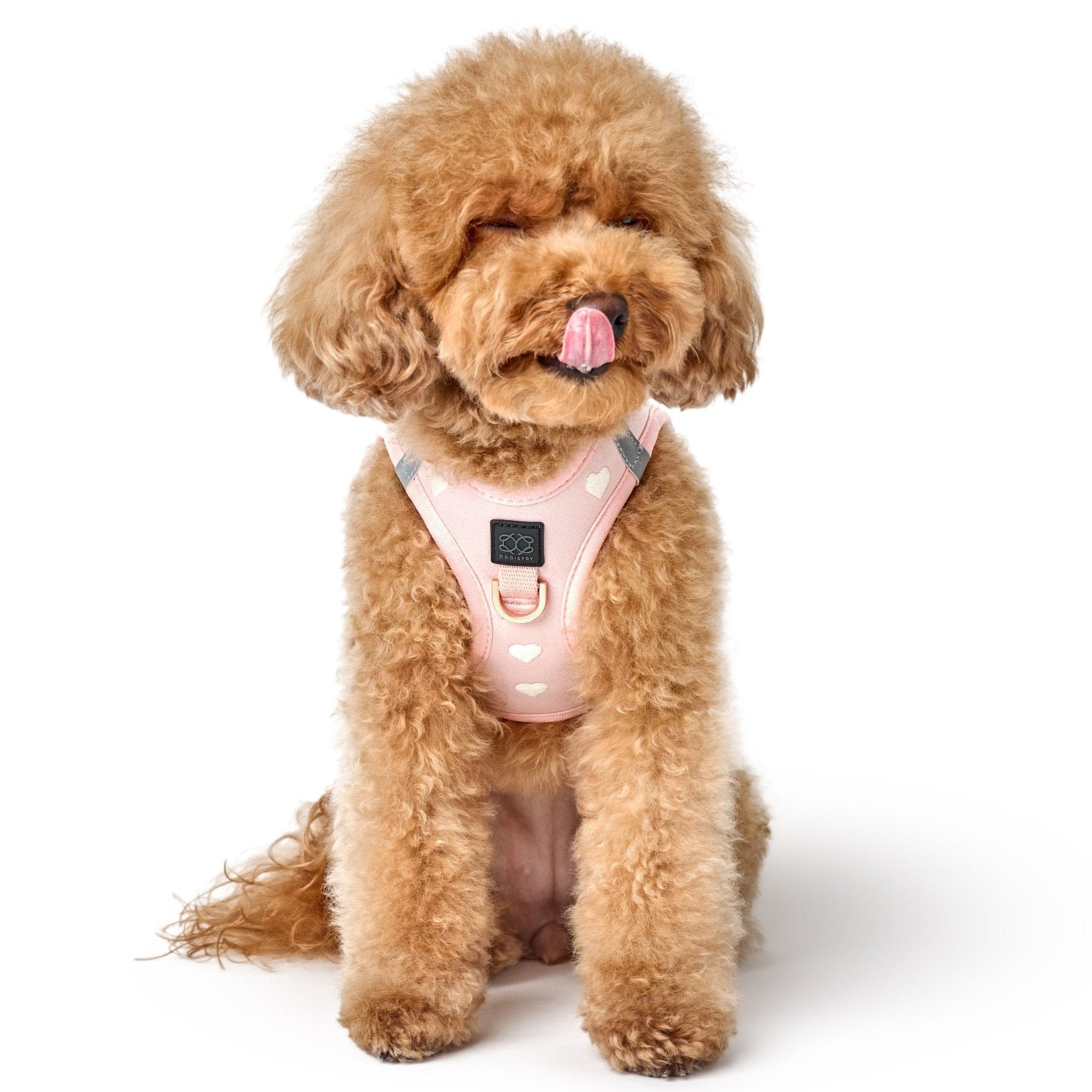 Sweetheart Dog Harness