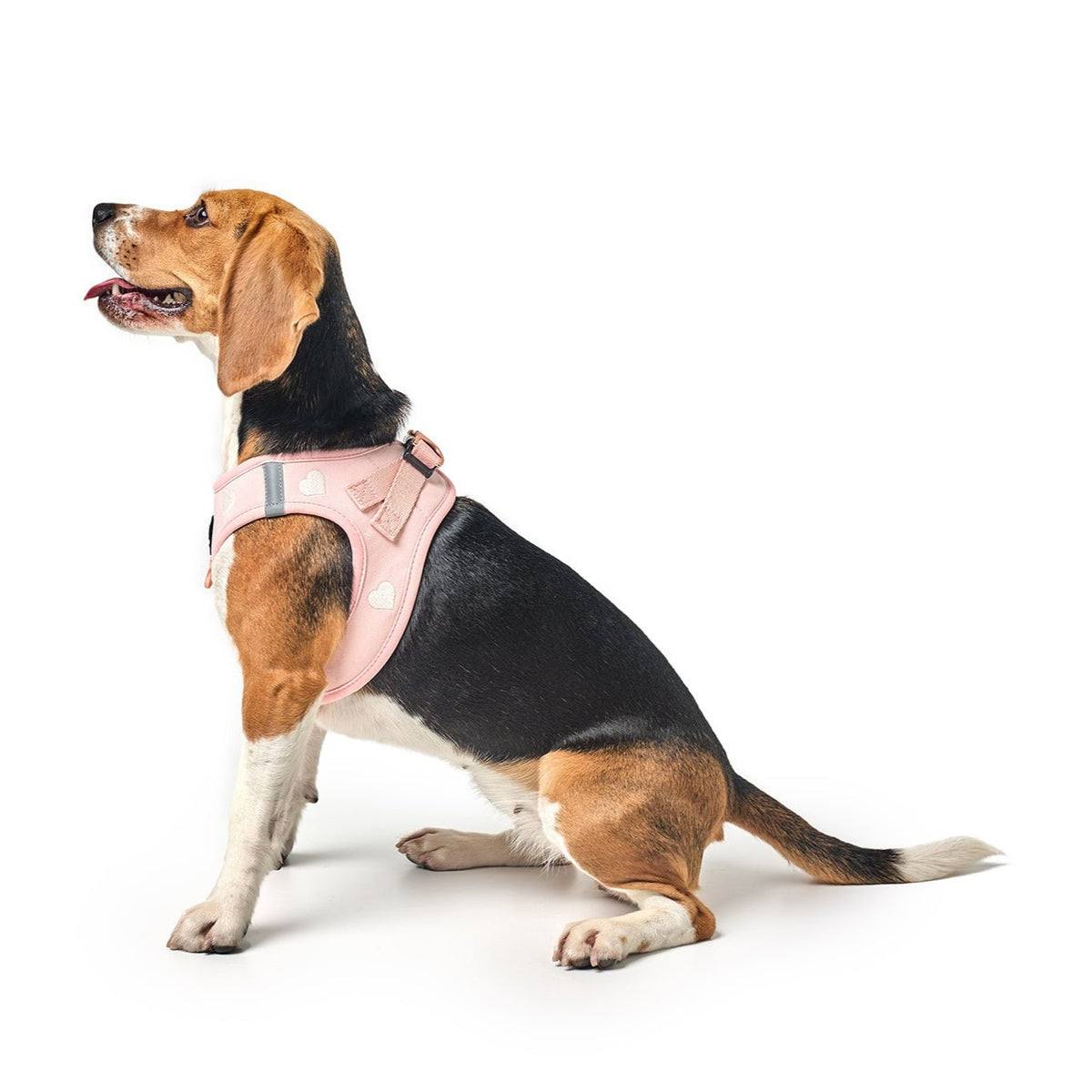 Sweetheart Dog Harness