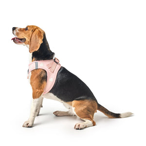 Sweetheart Dog Harness