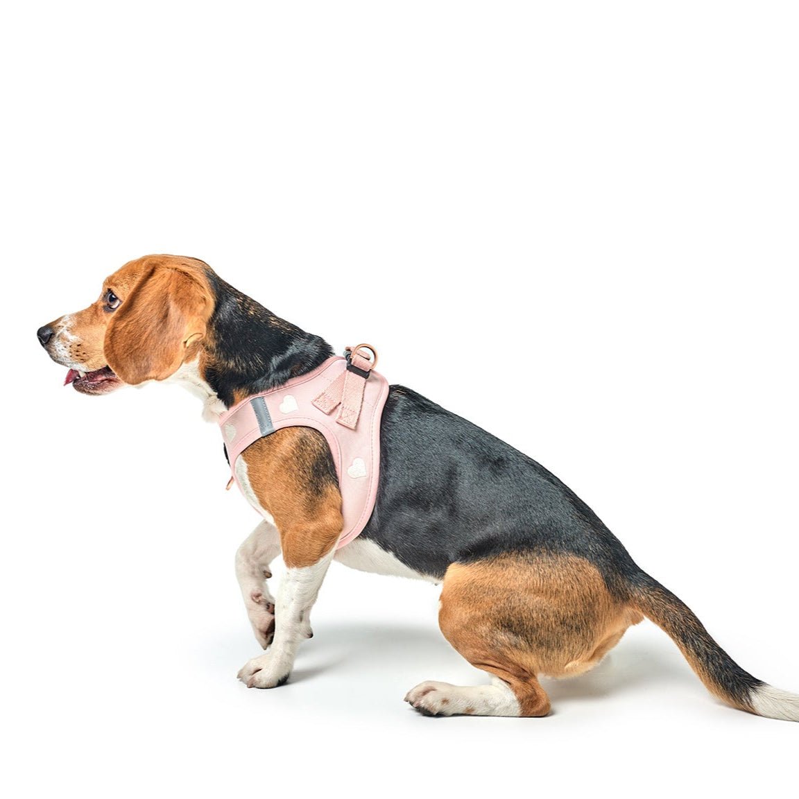 Sweetheart Dog Harness