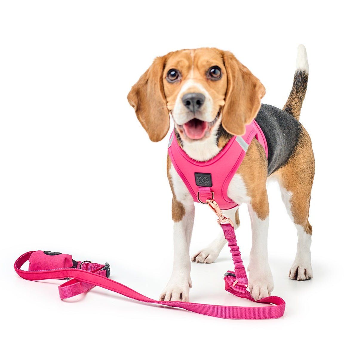 The Pretty in Pink Pup Leash