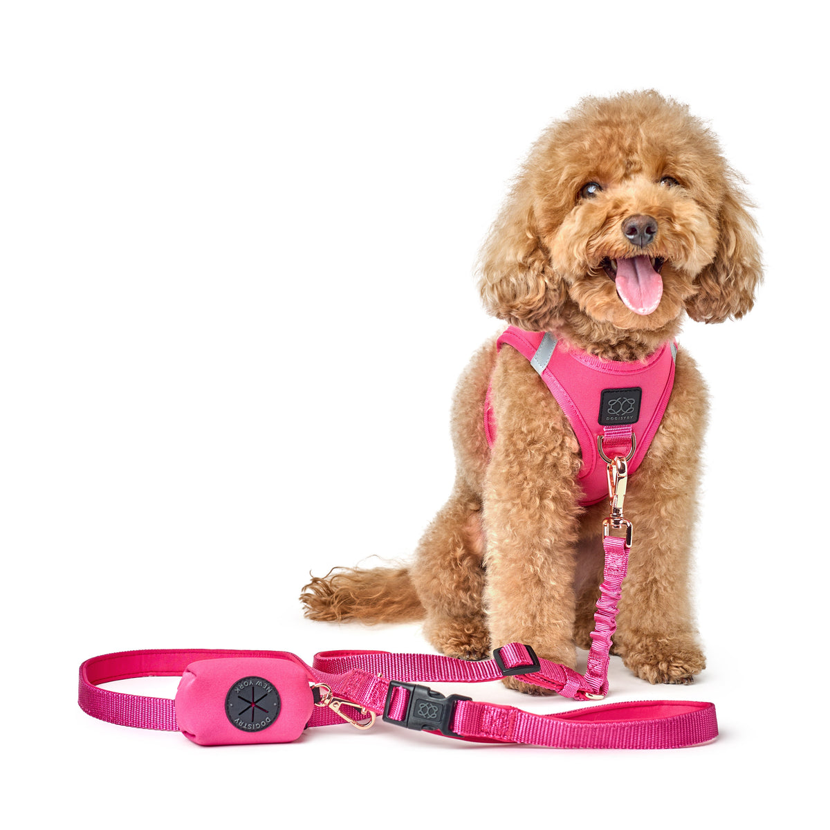 The Pretty in Pink Pup Leash