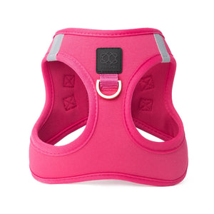 No-Pull Puppy Harness