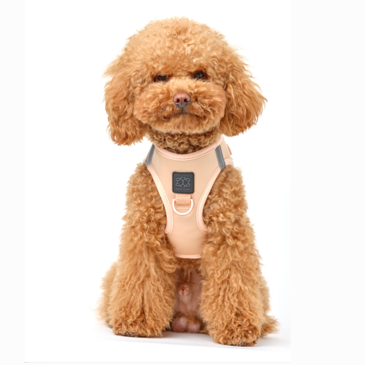 Sand Dune Dog Harness