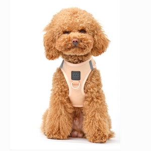 Sand Dune Dog Harness