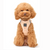 Sand Dune Dog Harness