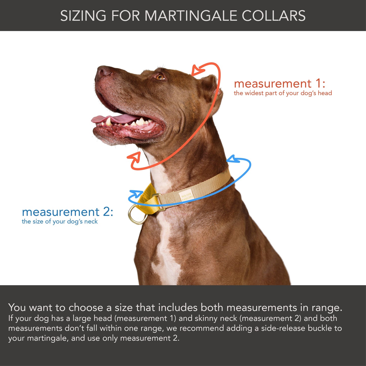 Paws & Peaches Collar