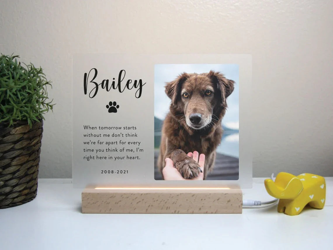 Light Up Pet Memorial Plaque