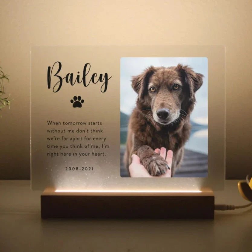 Light Up Pet Memorial Plaque - Personalized LED Acrylic Photo Tribute
