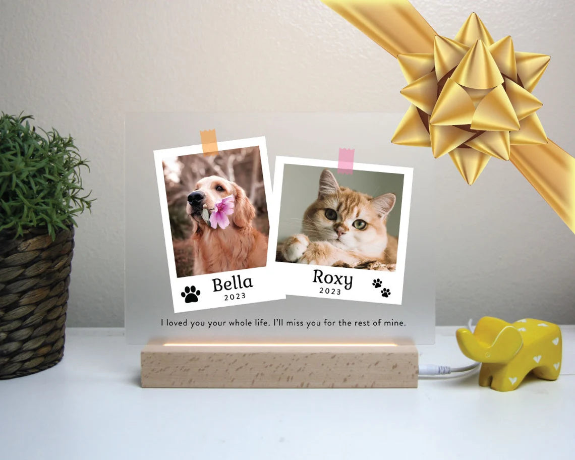 Dual Light Up Memorial Plaque