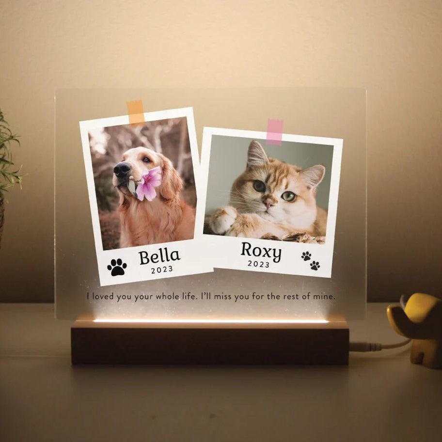 Dual Light Up Memorial Plaque