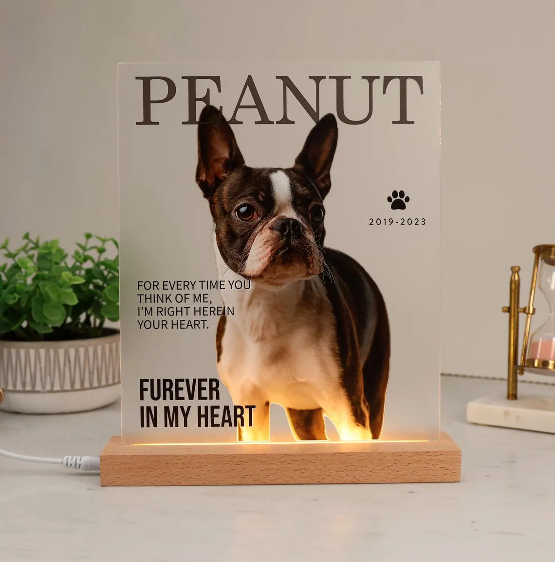 Pet Memorial Photo Sign