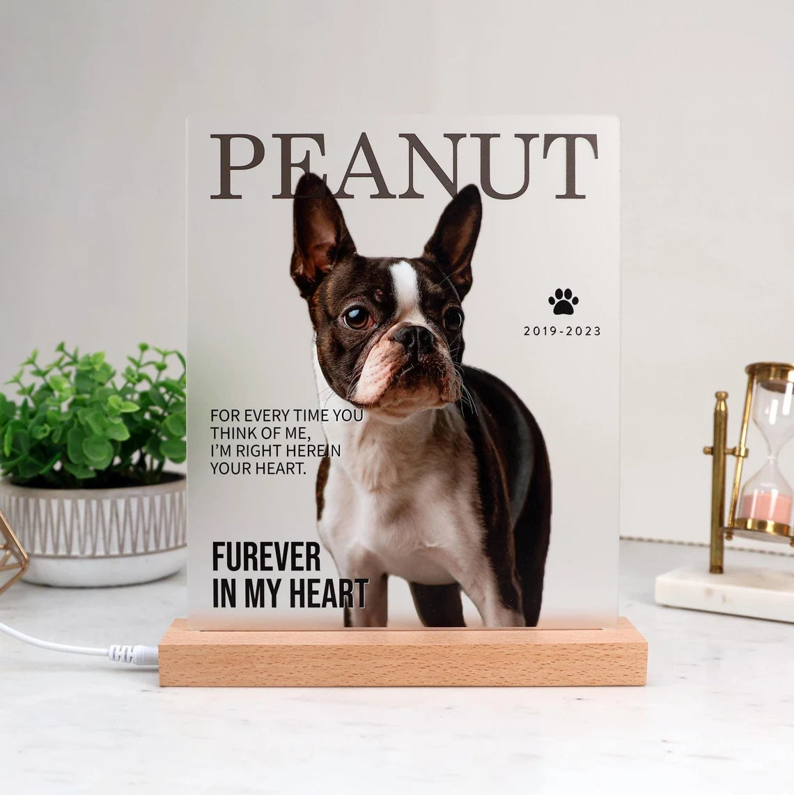 Pet Memorial Photo Sign