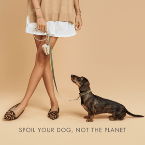 Sage Green Luxe Leather Dog Leash