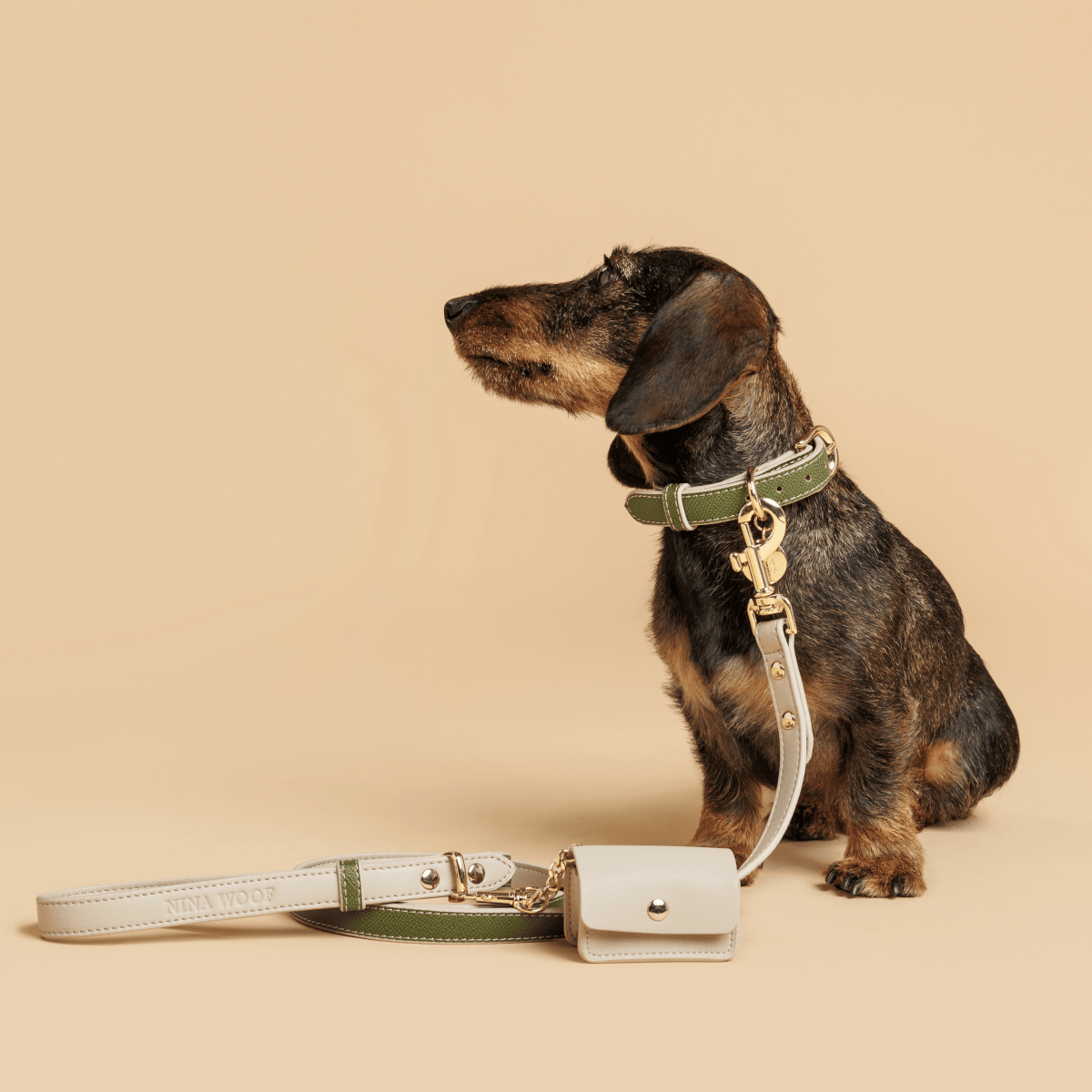 Sage Green Luxe Leather Dog Leash
