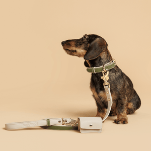 Sage Green Luxe Leather Dog Leash