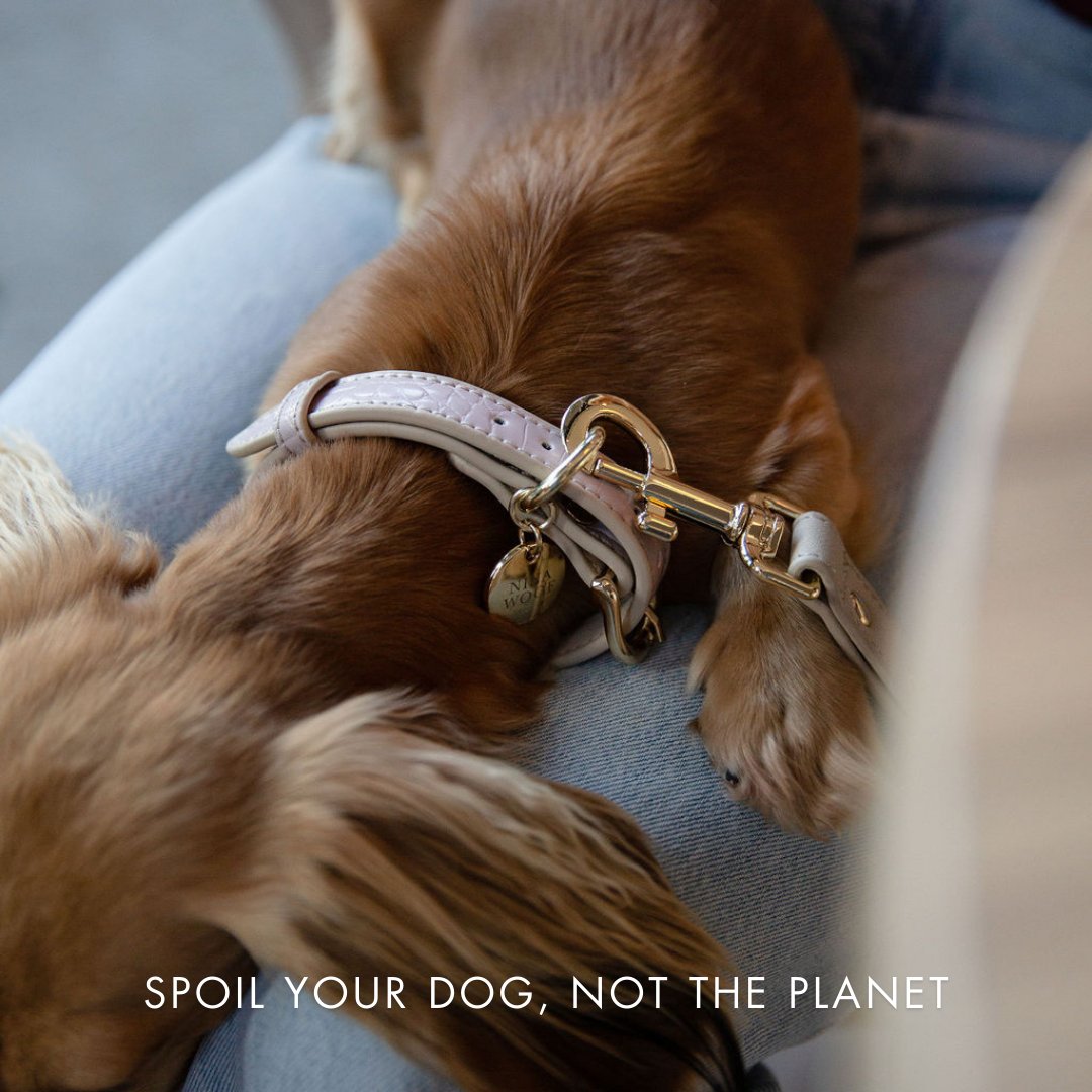 The Pink Luxe Leather Dog Leash