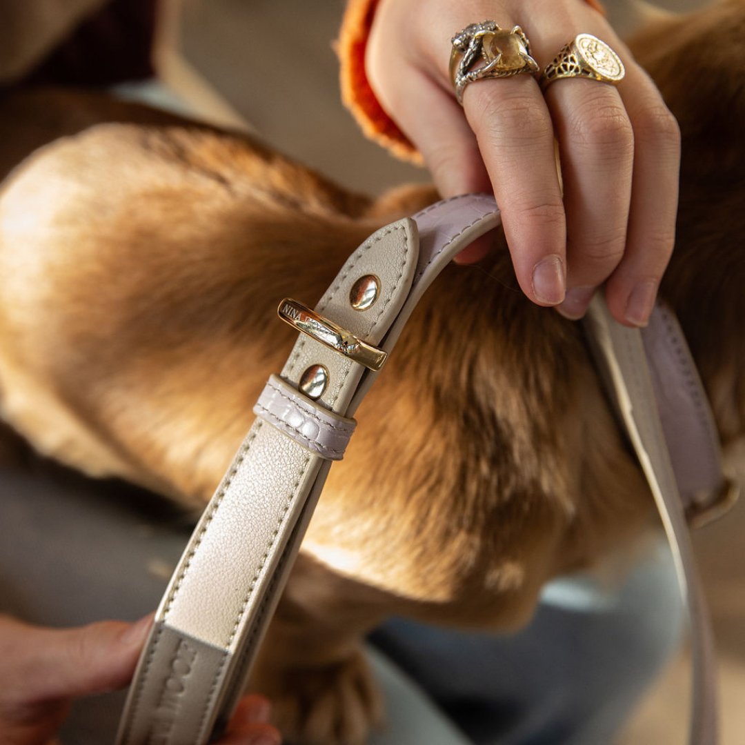 The Pink Luxe Leather Dog Leash