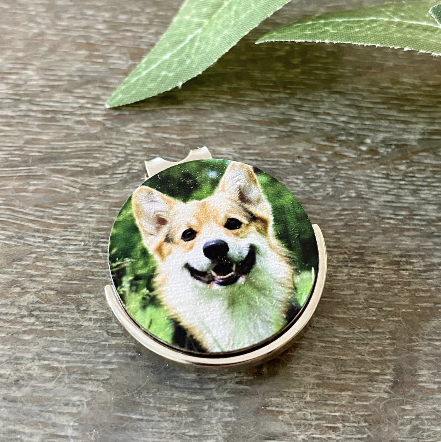 Custom Pet Ball Marker