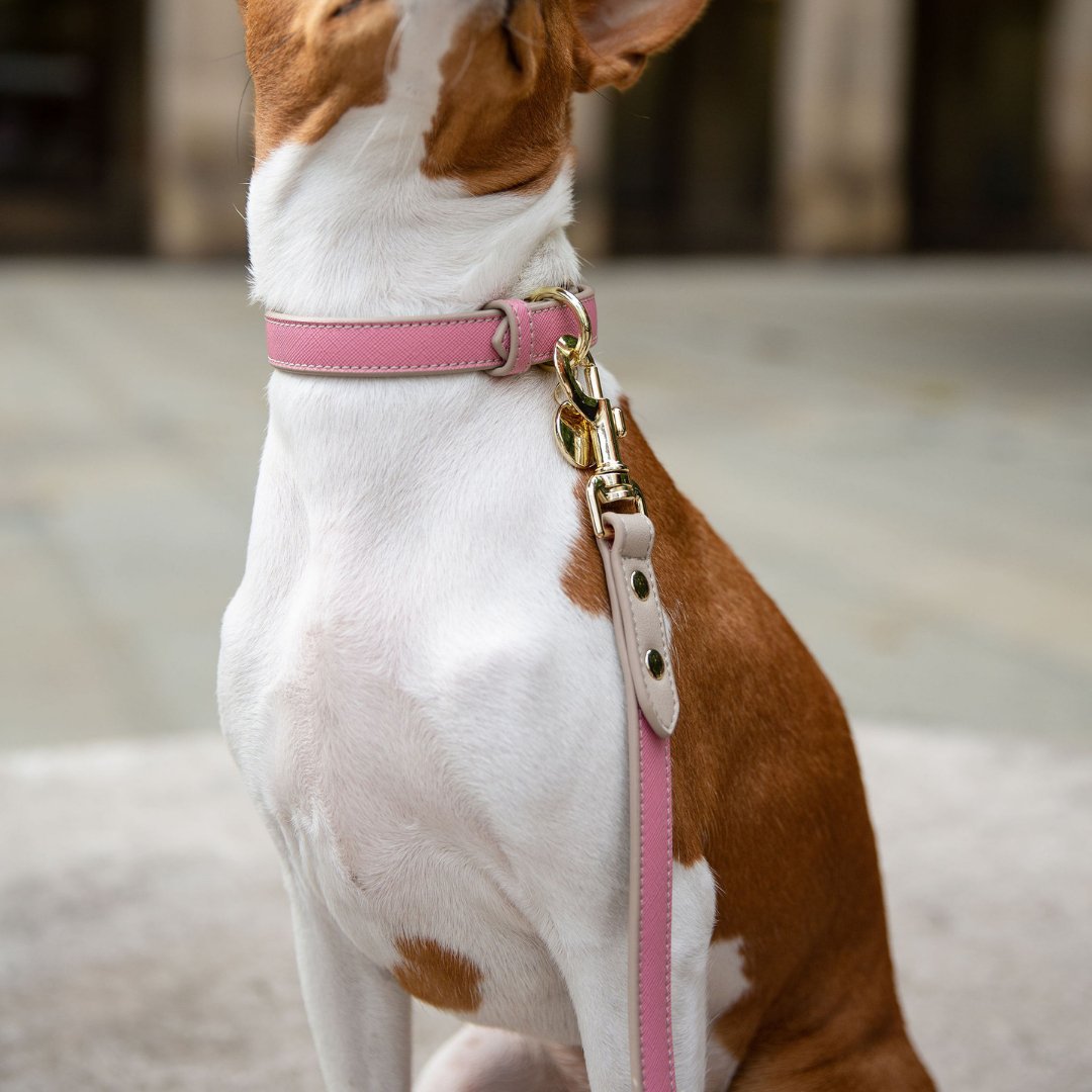 Hot Pink Leather Dog Leash