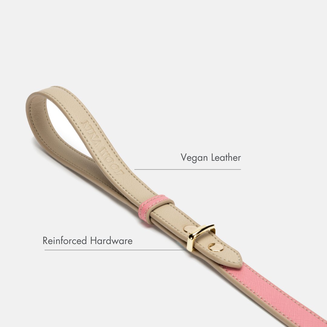 Hot Pink Leather Dog Leash