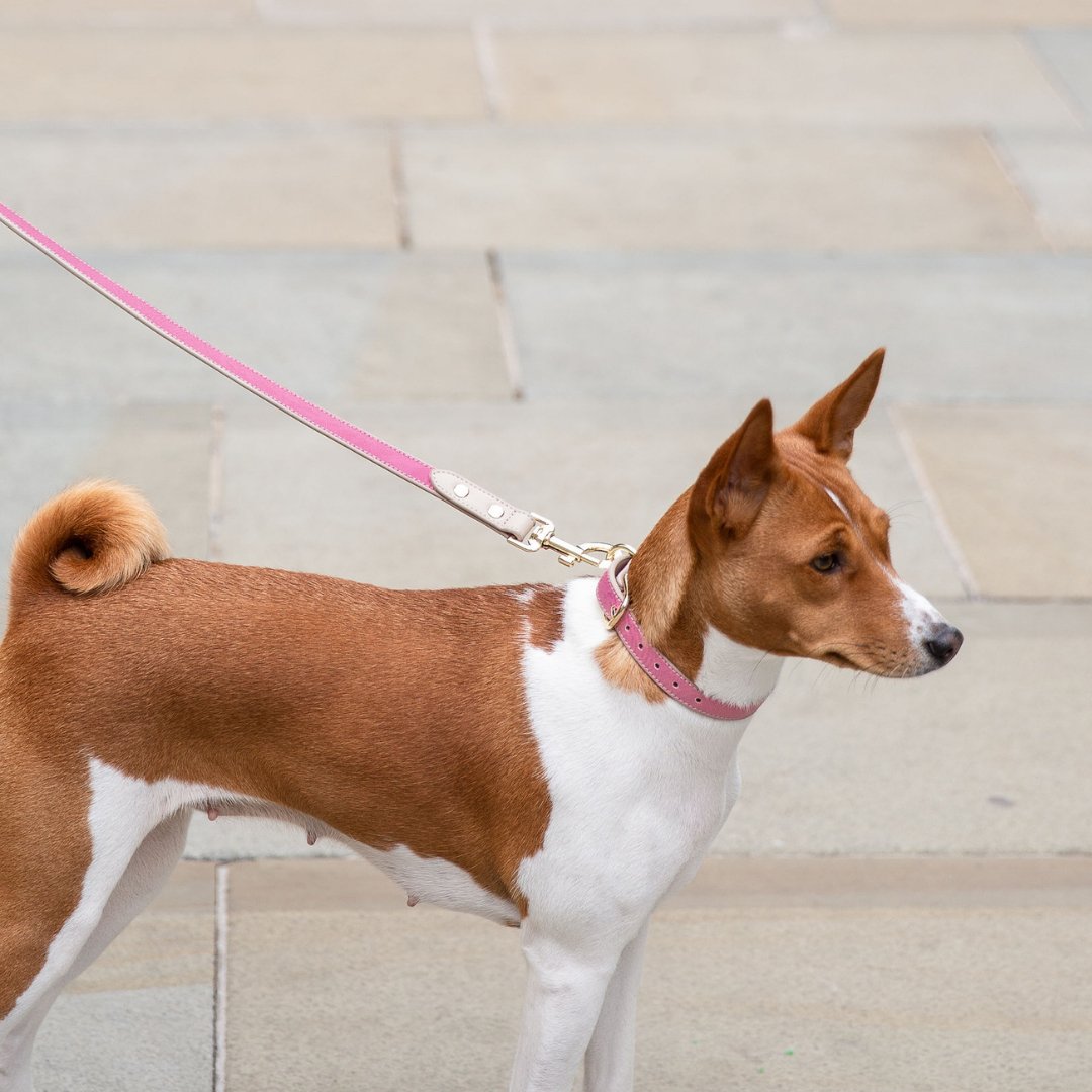 Hot Pink Leather Dog Leash