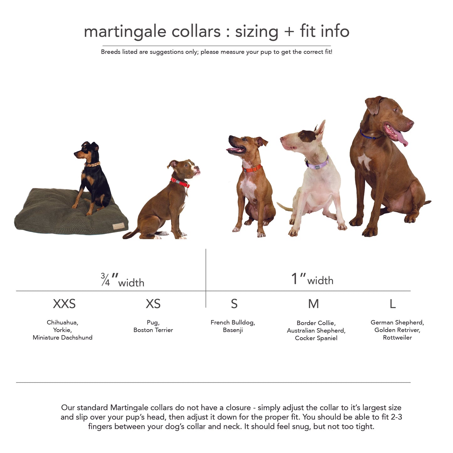 Rainbow Run Collar